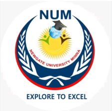 Newgate University Minna (NUM) Postgradu...